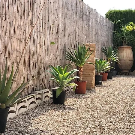 Palmera,els Poblets *